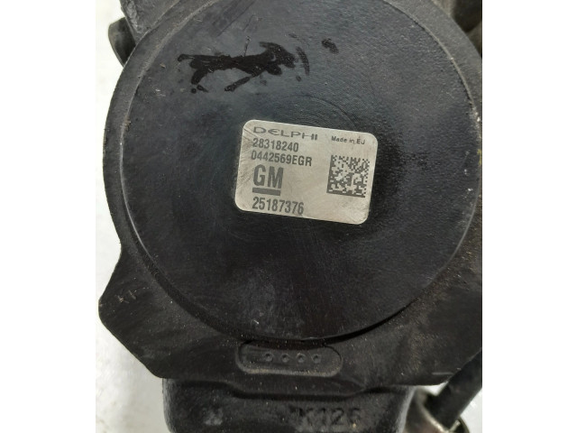 Čerpadlo oleje 28318240, 0442569EGR Opel Antara