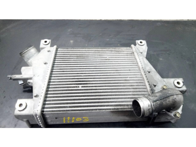 Интеркулер D2052B17, P2-A11-12 Nissan X-Trail T30 2.2