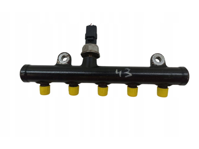 Топливная рампа 9681649580, HDI   Citroen C8  