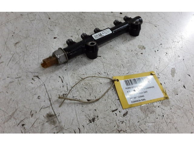 Топливная рампа 980477678000, 980477678000 Ford Ecosport для двигателя XVJD