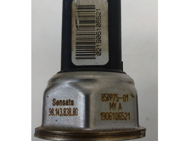 Топливная рампа 9681909680, 9814383880   Peugeot Expert   для двигателя RH02