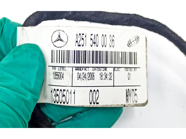 Подушка безопасности пассажира A2515400036, 1635425440   Mercedes-Benz R W251