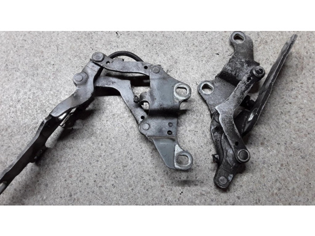 Петля (петли) капота двигателя