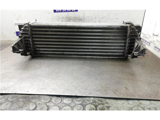 Интеркулер     Ford Transit -  Tourneo Connect 