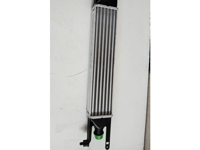 Интеркулер  55700449, 55700449   Fiat Punto Evo 