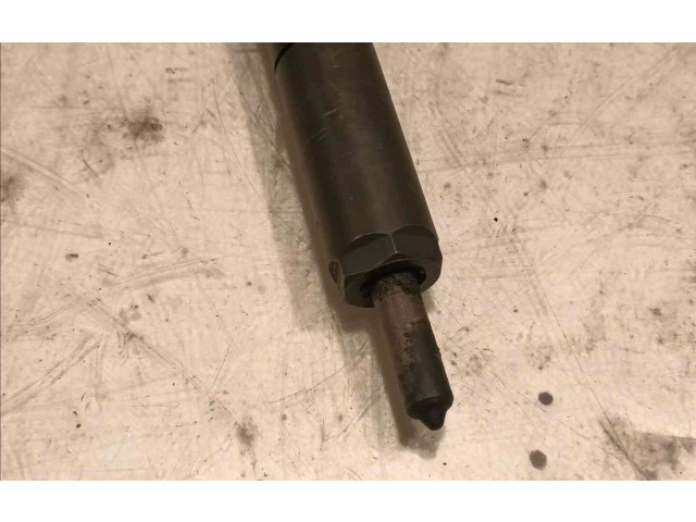 Форсунка 166003978R    Renault Clio II   