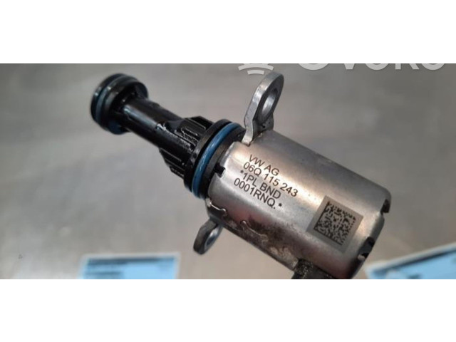Форсунка 06Q115243 Volkswagen Golf VIII