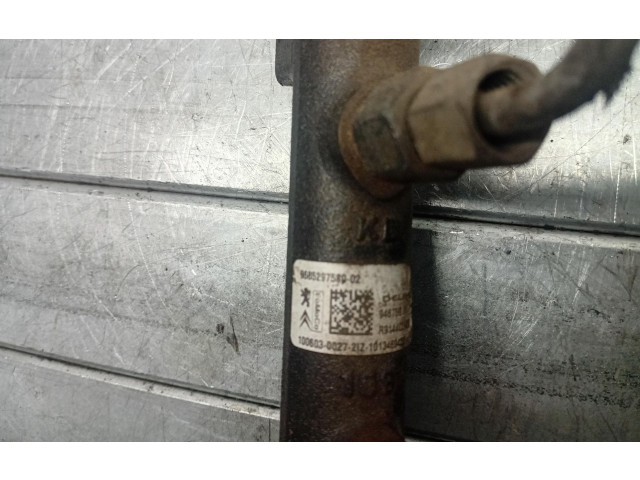 Топливная рампа R9144Z290B, R9144Z290B   Citroen DS3  