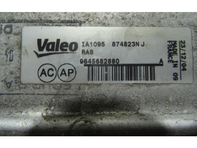 Интеркулер  00000384G6   Citroen C5 