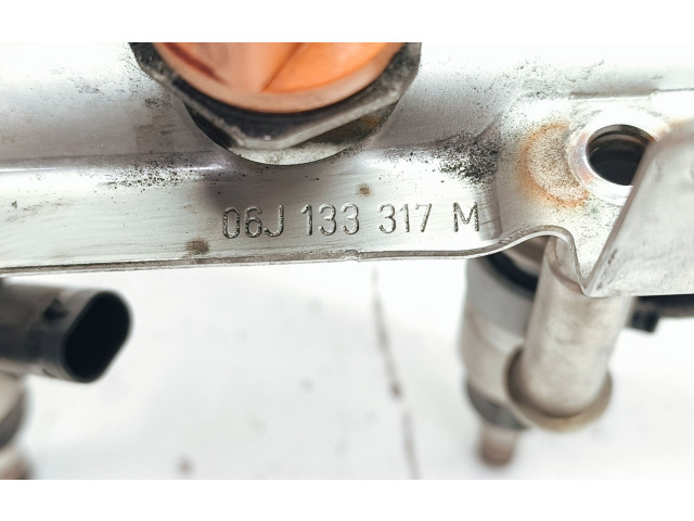 Комплект форсунок 1019139S02, 06J133317M Audi Q5 SQ5 CHJ