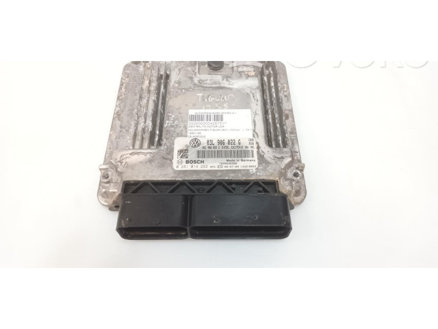Řídící jednotka 03L906022G Volkswagen Tiguan 2010