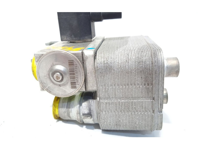 Блок управления 9821712380, EV29035425   Peugeot Partner III