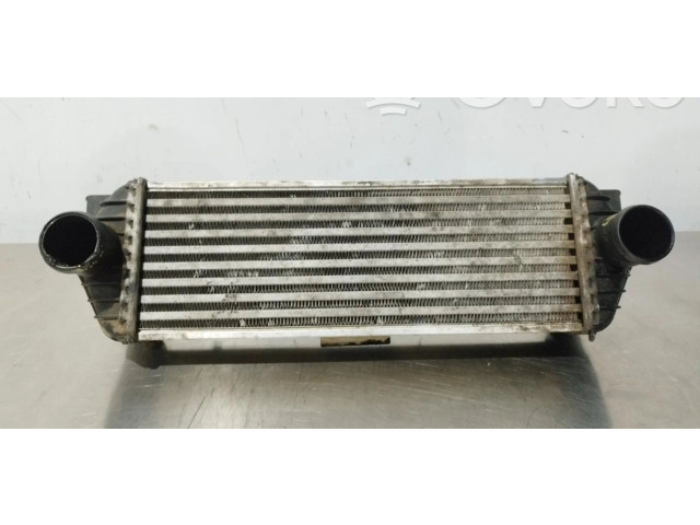 Интеркулер     Ford Transit -  Tourneo Connect 