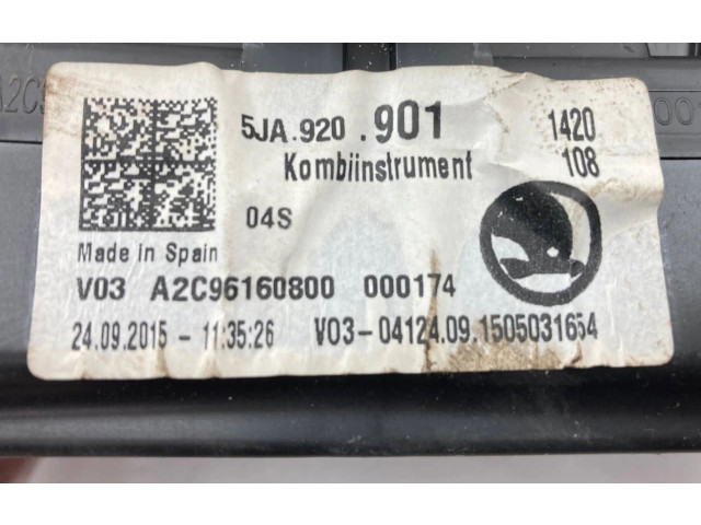 Панель приборов 5JA920901, A2C96160800   Skoda Rapid (NH)       