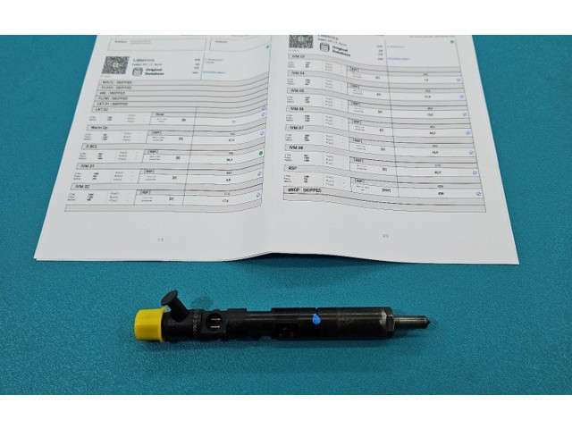 Форсунка EJBR05101D, IMPRK1439395 Dacia Logan I