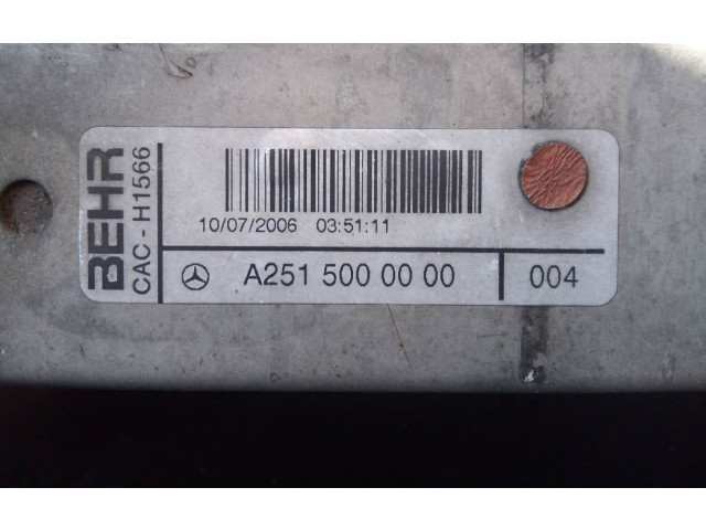Интеркулер A2515000000004, P2-A11-6 Mercedes-Benz R W251