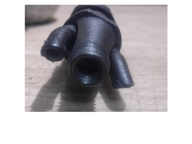 Форсунка 0000198065, 0000198065    Citroen Saxo   