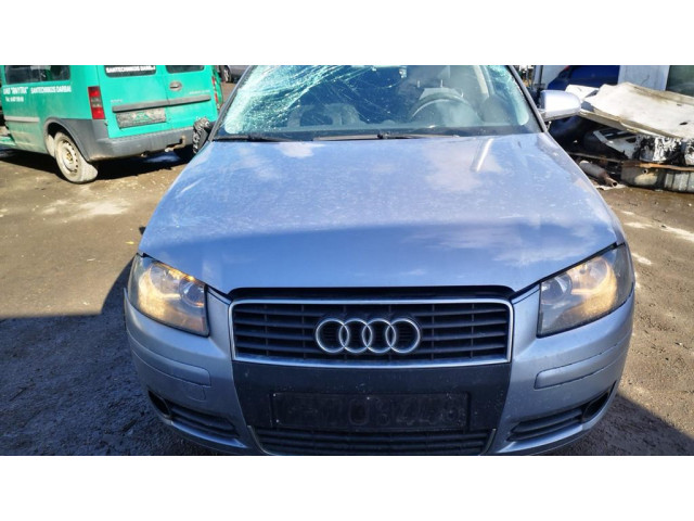 Масляный насос   1134603, 11346-03  Audi A3 S3 8P 1.9