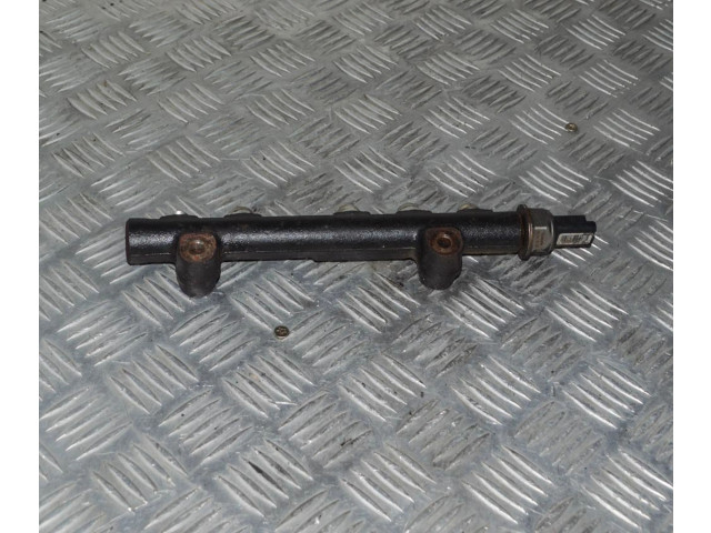 Топливная рампа 9685297580   Citroen C3 1.4  для двигателя 8HR (DV4C)