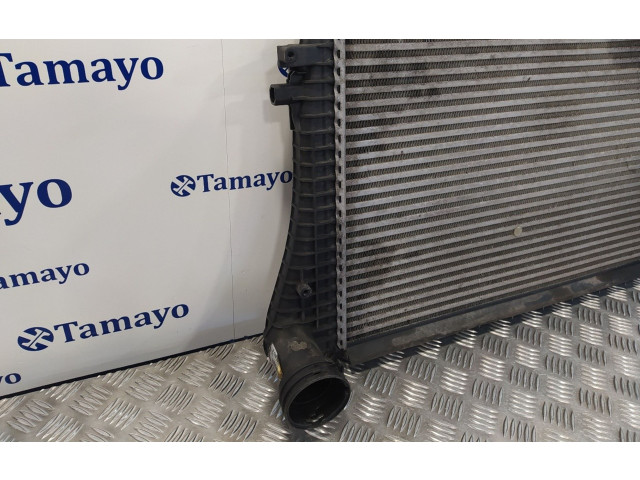 Интеркулер     Volkswagen Passat Alltrack 