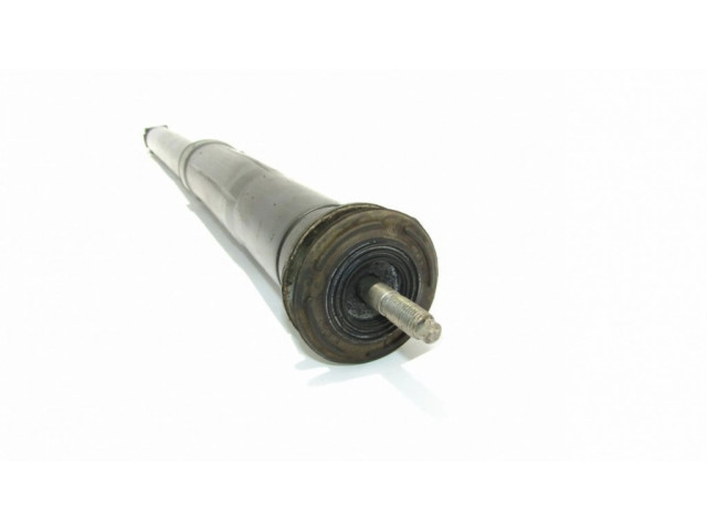 Задний aмортизатор      