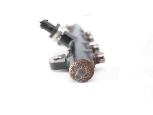 Vstřikovací lišta 175215346R Dacia Sandero