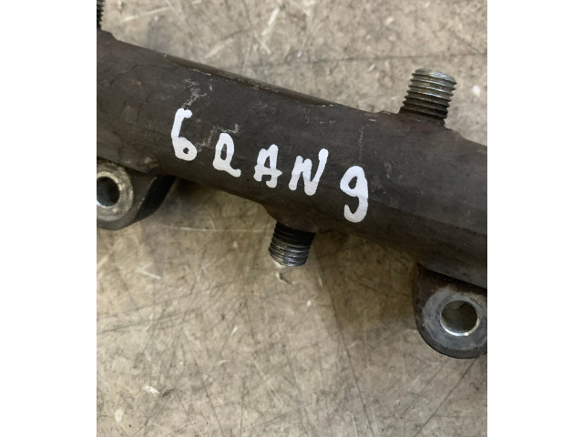 Топливная рампа 0445214076 Ford Ranger для двигателя WLAA