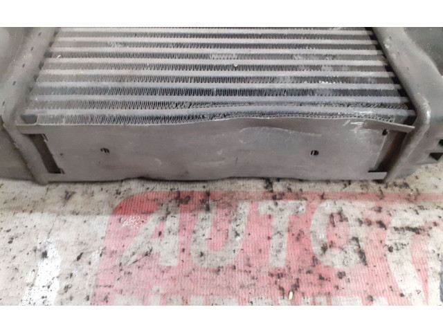 Интеркулер     Dacia Dokker 