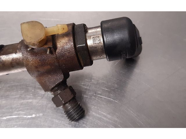 Форсунка 132111041910    Renault Clio III   