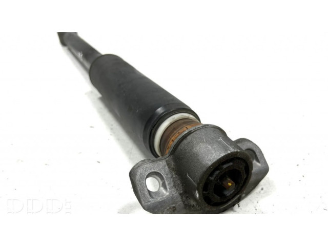 Задний aмортизатор      