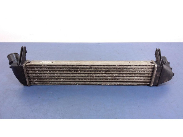 Интеркулер 8200409045 Dacia Duster