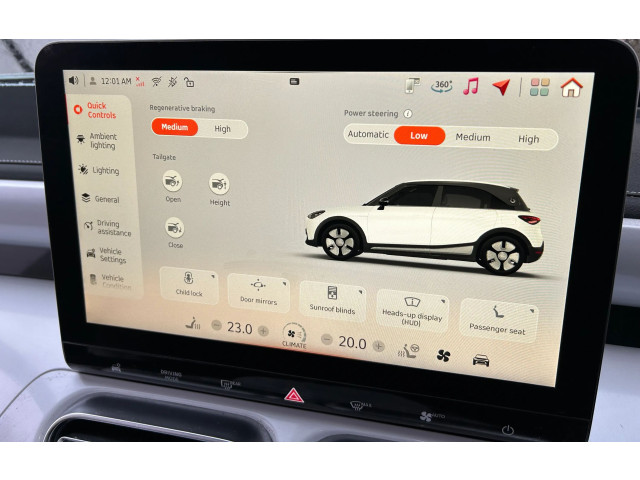 Дисплей 8890968351 Smart #1