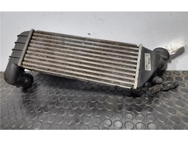 Интеркулер 1489396080 Citroen C8