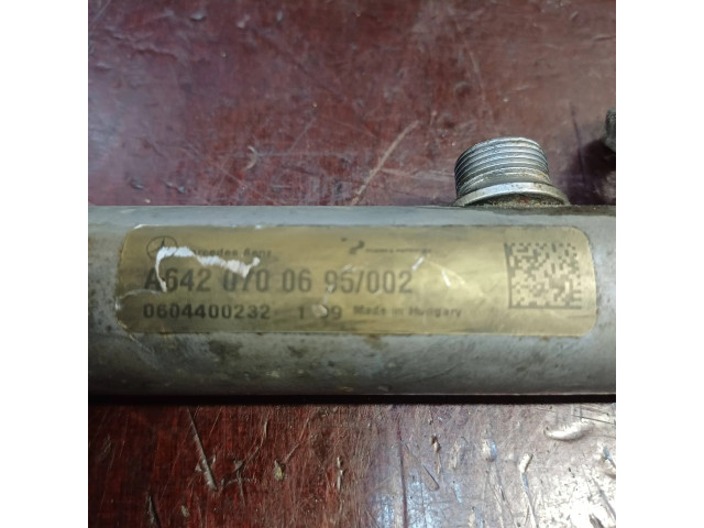 Топливная рампа A6420700695, 0604400232 Mercedes-Benz R W251 3.0