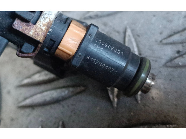 Комплект форсунок 03C906031, 8112N01071    Skoda Roomster (5J)  BTS 