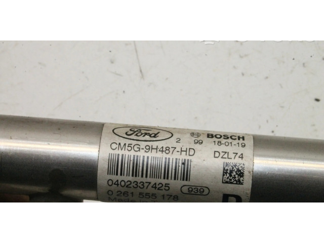 Топливная рампа CM5G9H487HD   Ford Ecosport 1.0  для двигателя YYJD