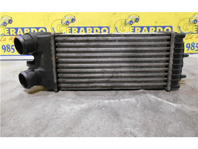 Интеркулер 9645965180, 874964GJ Citroen Xsara Picasso