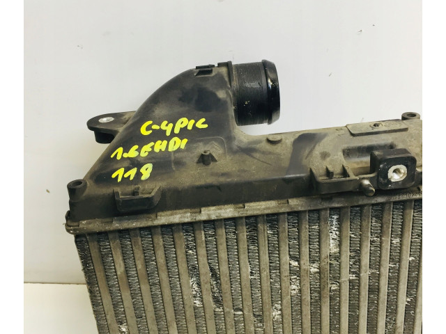 Vstřikovací lišta    Citroen C4 II Picasso     