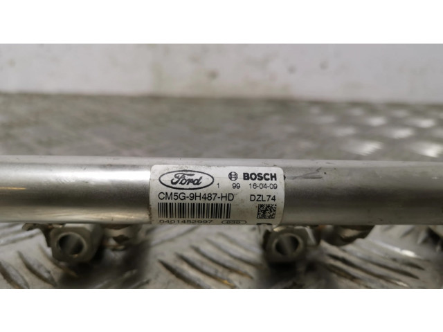 Топливная рампа CM5G9H487HD Ford Ecosport 1.0