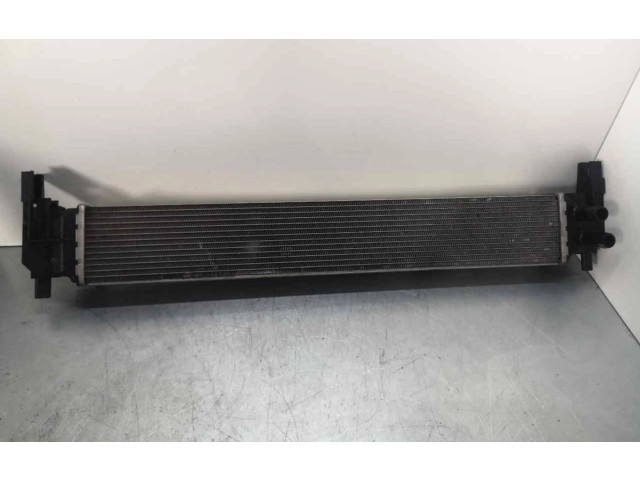 Интеркулер Skoda Rapid (NH)