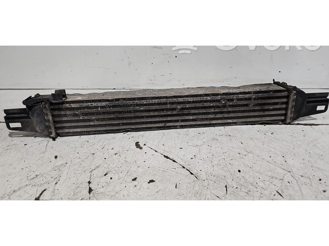 Интеркулер Citroen Nemo