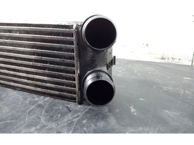 Интеркулер  9800291280, P2-A11-11   Peugeot 5008 