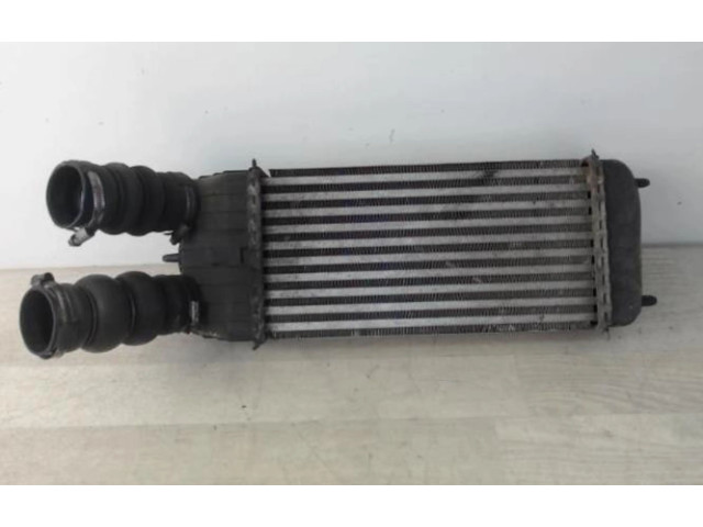 Интеркулер  00000384N1, 00000384N1   Citroen C3 Picasso 