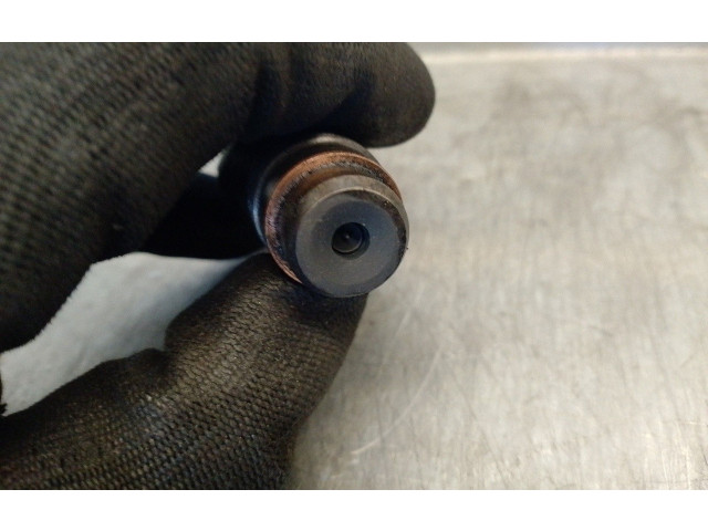 Vstřikovač LCR6736001, LCR6736001 Citroen Berlingo WJZ