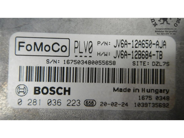 Блок управления двигателя 0281036223, 2313997   Ford Transit -  Tourneo Connect