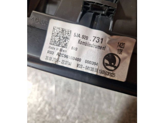 Панель приборов 5JA920731, 000394   Skoda Rapid (NH)       