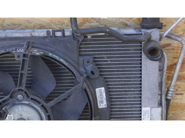 Комплект радиатора    Renault  Clio III  2005 - 2012 года