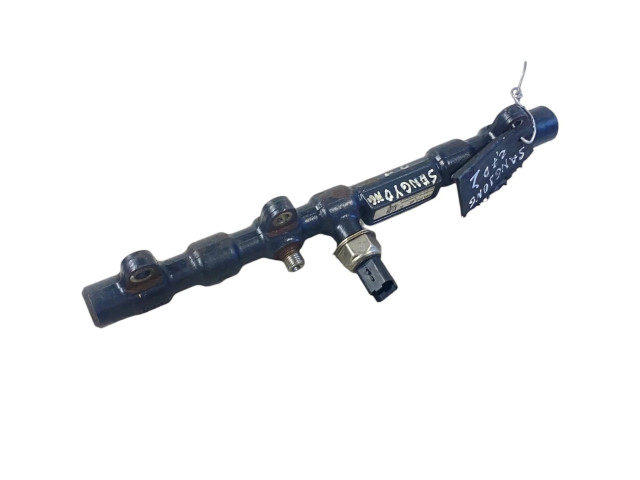 Топливная рампа A6650700295, R9145Z010C   SsangYong Rexton  