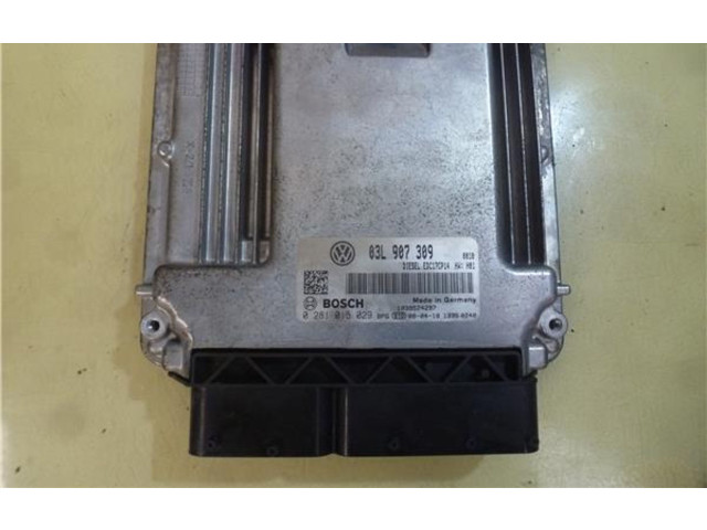 Блок управления двигателем Блок управления 3L907309, 281015029   Volkswagen PASSAT B6