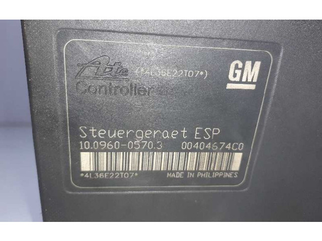 Jednotka ABS 132454860, 10020602644 Opel Zafira 2006